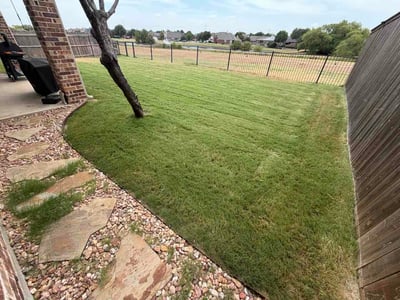 Lawn Care service in Cleburne, 76033