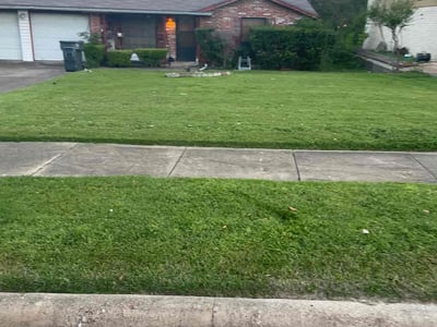 Lawn Care service in Terrell, 75160