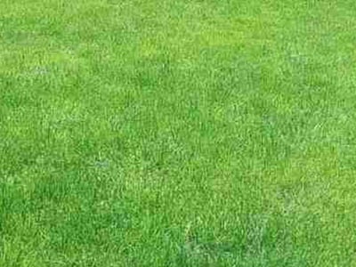 Lawn Care service in Winnetka, 60093