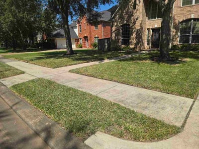 Lawn Care service in Donna, 78537
