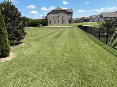 Lawn Care service in Nolensville, 37135