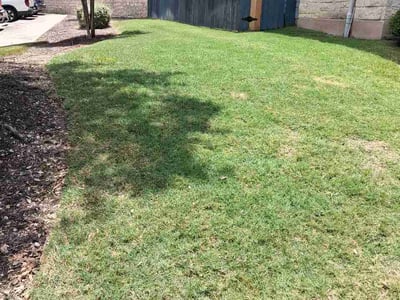 Lawn Care service in Donna, 78537