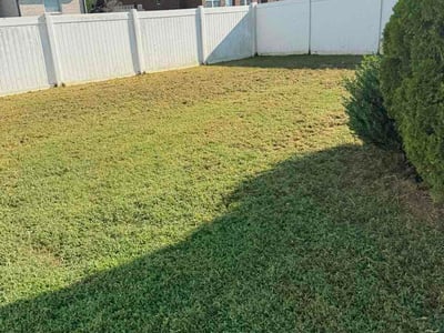 Lawn Care service in Nolensville, 37135