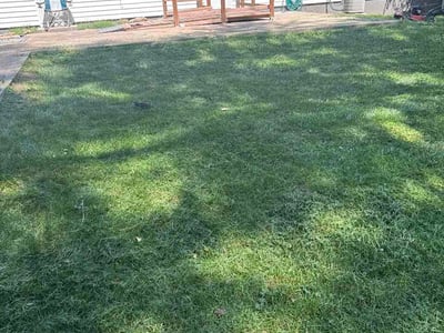 Lawn Care service in Excelsior Springs, 64024