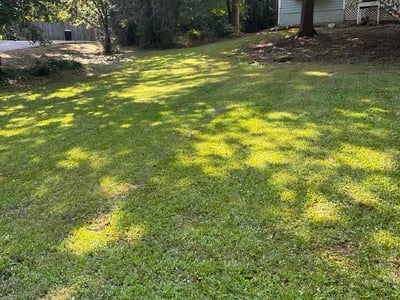 Lawn Care service in Douglasville, 30134