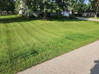 Lawn Care service in Normal, 61761