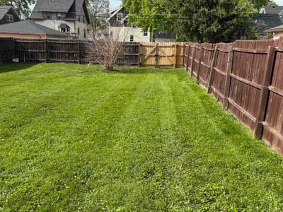 Lawn Care service in Menomonee Falls, 53051