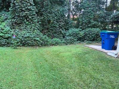 Lawn Care service in Lilburn, 30047
