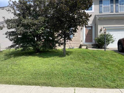 Lawn Care service in Altoona, 16601