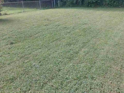 Lawn Care service in Altoona, 16601