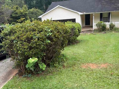 Lawn Care service in Riverdale, 30274