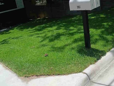 Lawn Care service in Wells Branch, 78728