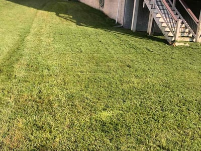 Lawn Care service in White Marsh, 21236