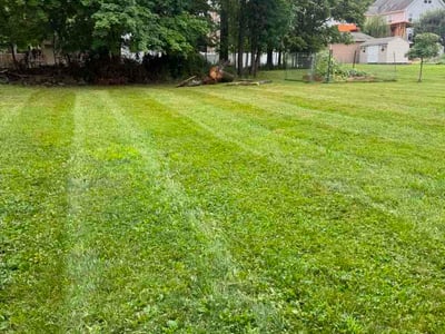 Lawn Care service in Souderton, 18964