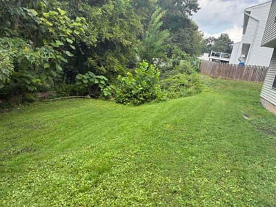 Lawn Care service in White Marsh, 21236