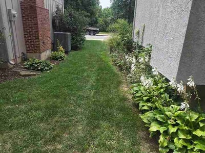 Lawn Care service in Mission, 66202