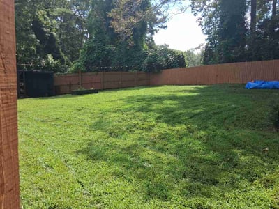 Lawn Care service in Monroe, 30655