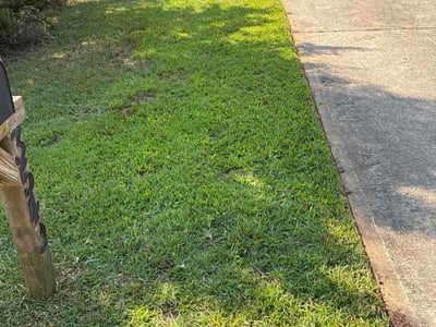 Lawn Care service in Rex, 30273
