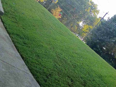 Lawn Care service in Decatur, 30030