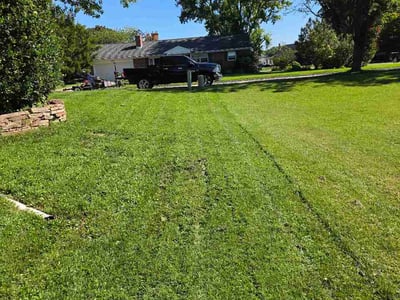 Lawn Care service in Bel Air, 21014