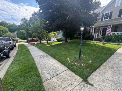 Lawn Care service in Bel Air, 21014