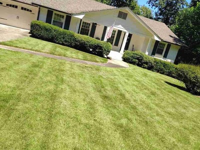 Lawn Care service in Kennebunk, 04043