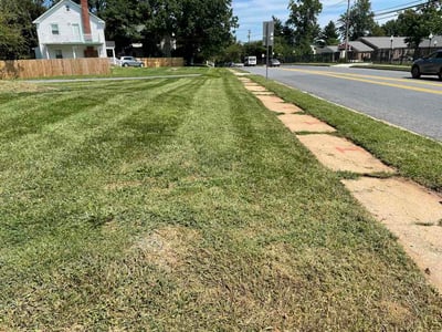 Lawn Care service in Pikesville, 21208