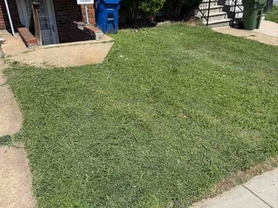 Lawn Care service in Pikesville, 21208