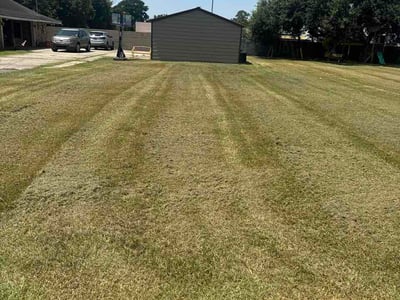 Lawn Care service in Breaux Bridge, 70517