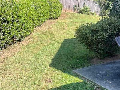 Lawn Care service in Kennesaw, 30144