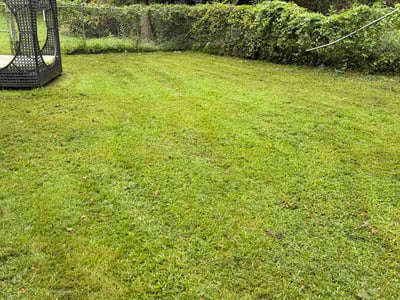 Lawn Care service in Kennesaw, 30144