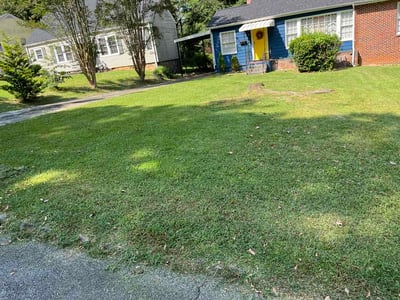 Lawn Care service in East Point, 30344