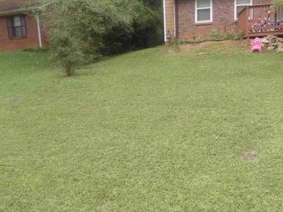 Lawn Care service in Reseda, 91335