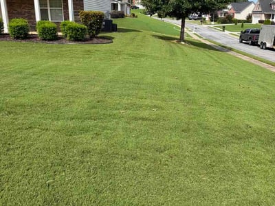 Lawn Care service in Conyers, 30012