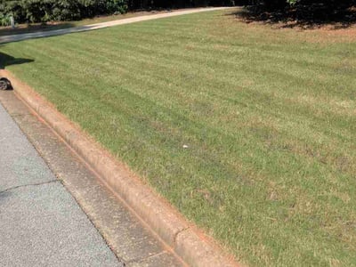 Lawn Care service in Conyers, 30012