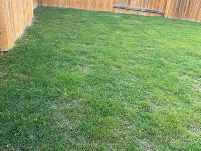 Lawn Care service in Lockhart, 78644