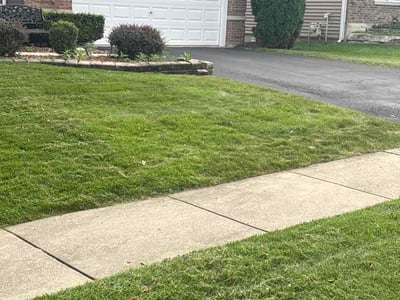 Lawn Care service in Lisle, 60532