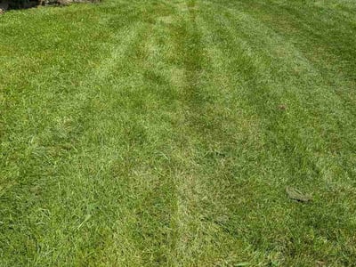 Lawn Care service in Lebanon, 46052