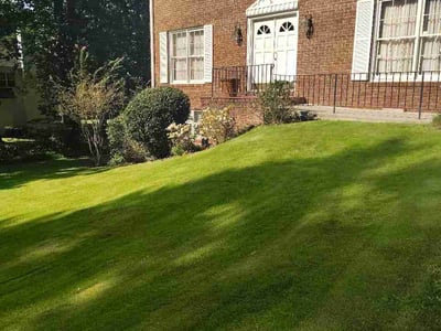 Lawn Care service in Dunwoody, 30338