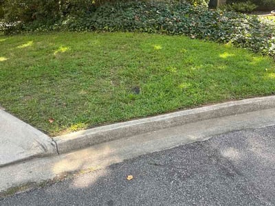 Lawn Care service in Dunwoody, 30338