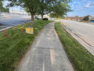 Lawn Care service in Tinley Park, 60477