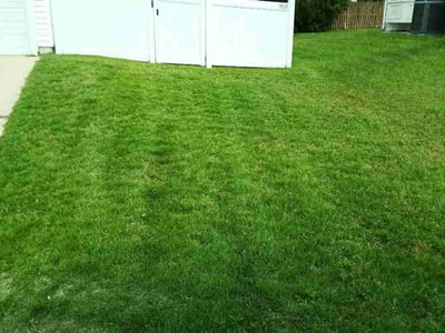 Lawn Care service in Severn, 21144