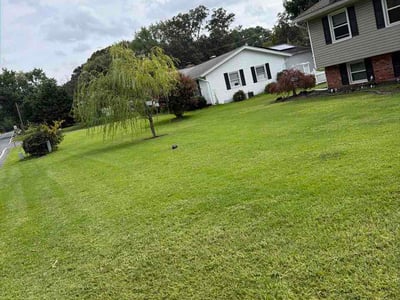 Lawn Care service in Severn, 21144