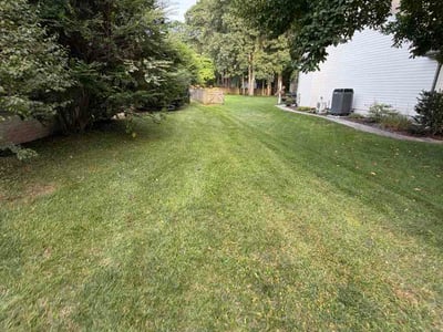 Lawn Care service in Severn, 21144