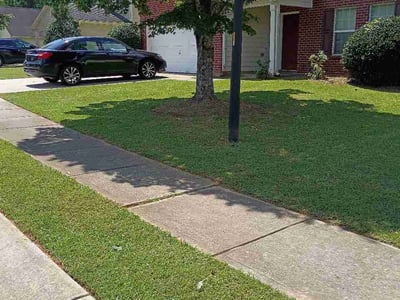 Lawn Care service in College Park, 30337
