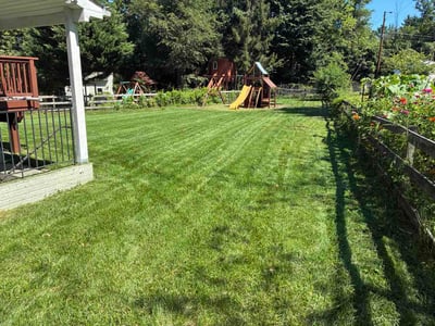 Lawn Care service in Ellicott City, 21043