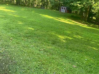 Lawn Care service in Ellicott City, 21043