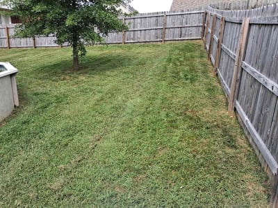 Lawn Care service in Nicholasville, 40356
