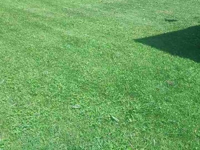 Lawn Care service in Nicholasville, 40356