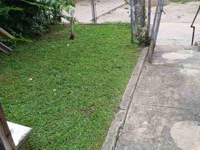 Lawn Care service in Elkridge, 21075
